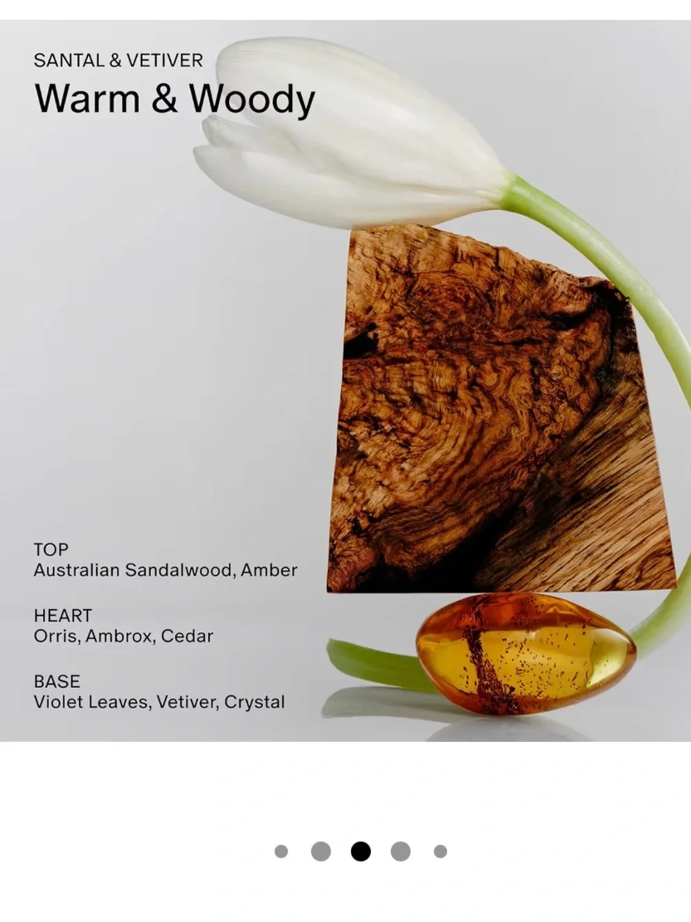 Salt & Stone Santal & Vetiver Deodorant Stick